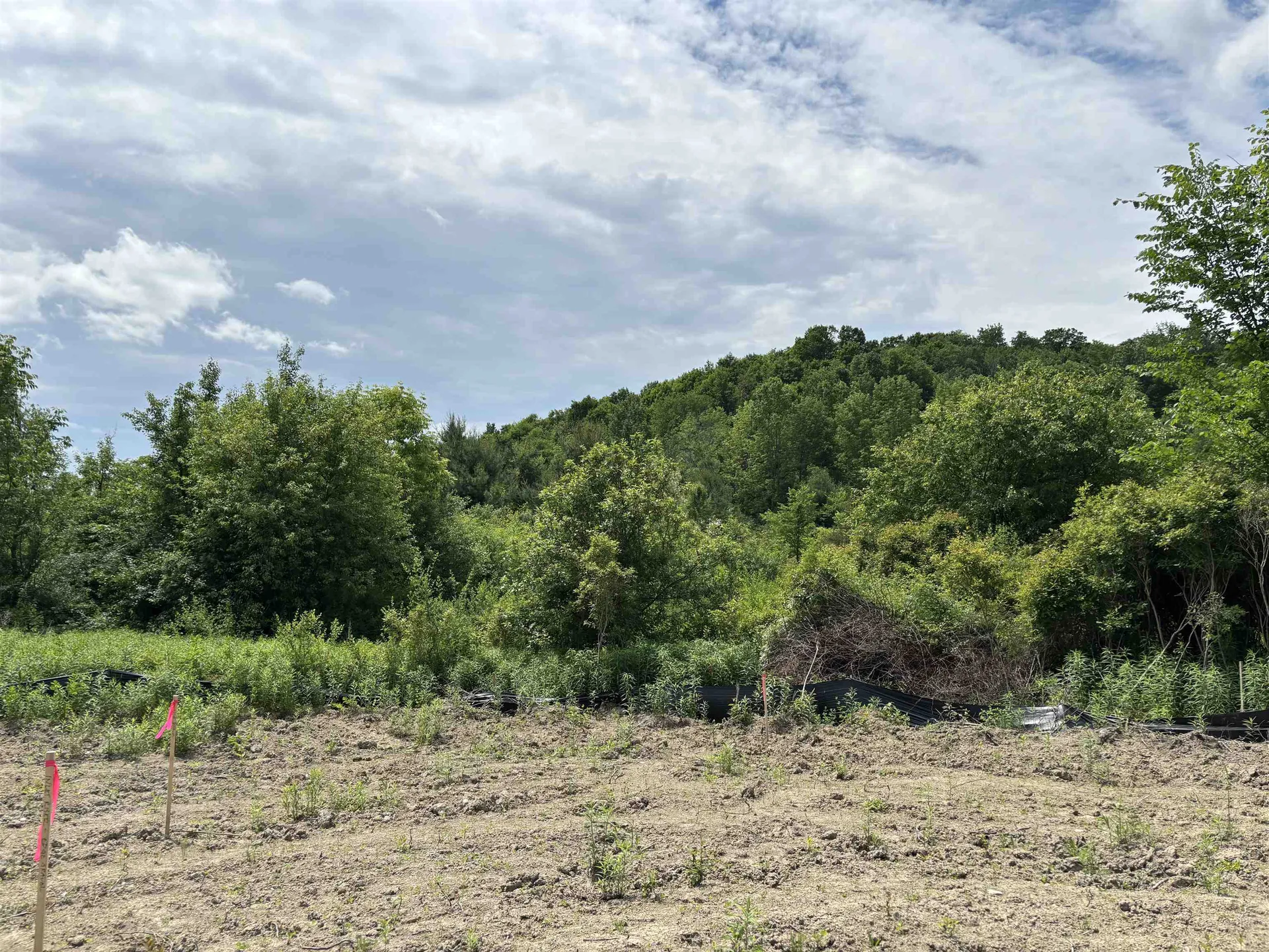 Tbd Cvu Road Hinesburg VT 05261