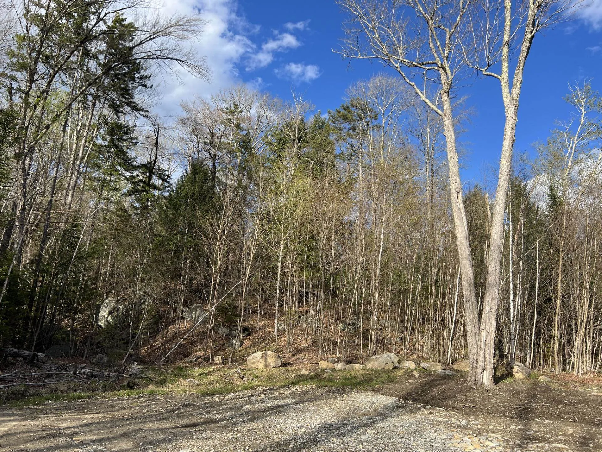 244 Rowentown Road Wentworth NH 03282