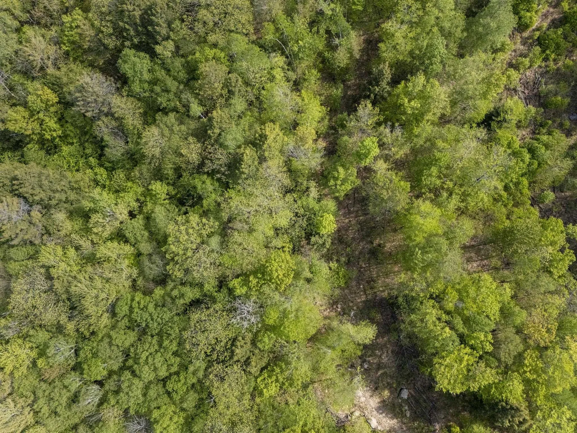 00 Loyd Lane Harrisville NH 03450