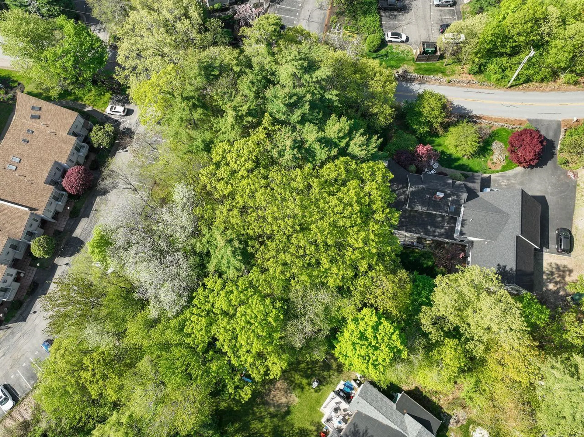15 Cusack Road Hampton NH 03842