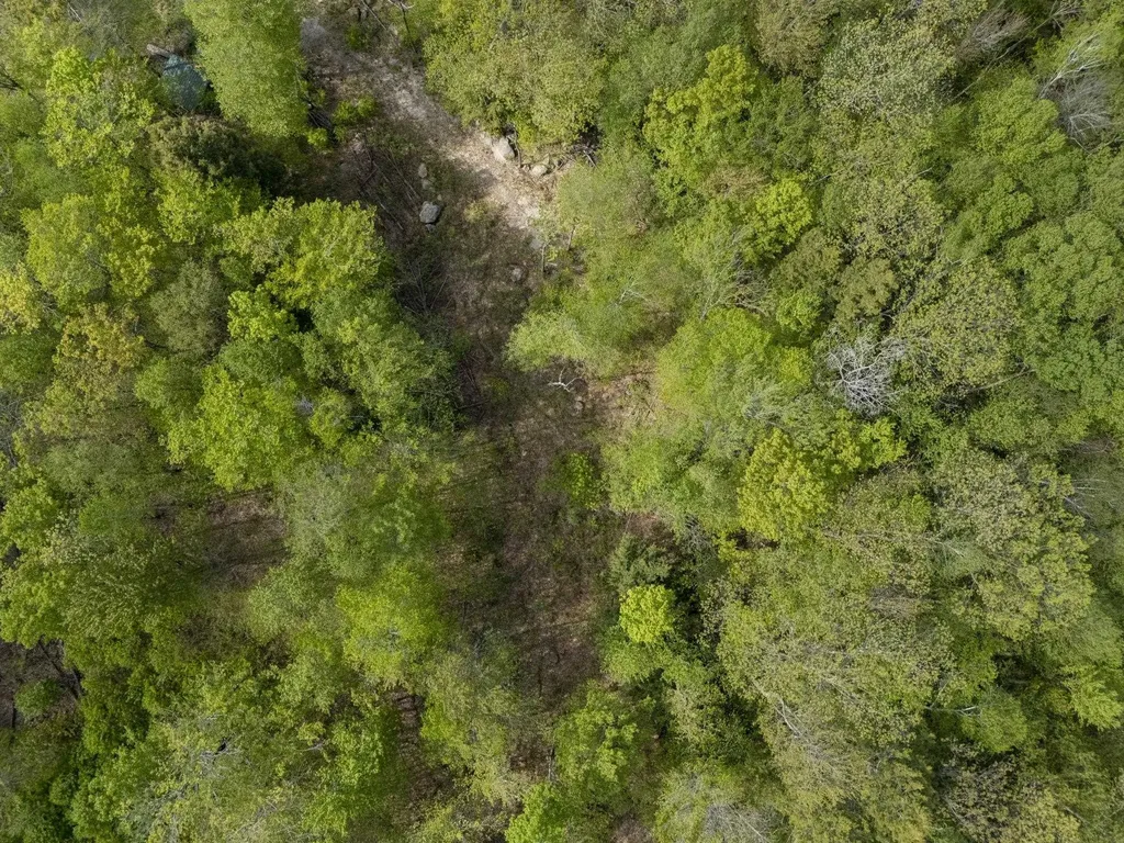 14 Loyd Lane Harrisville NH 03450