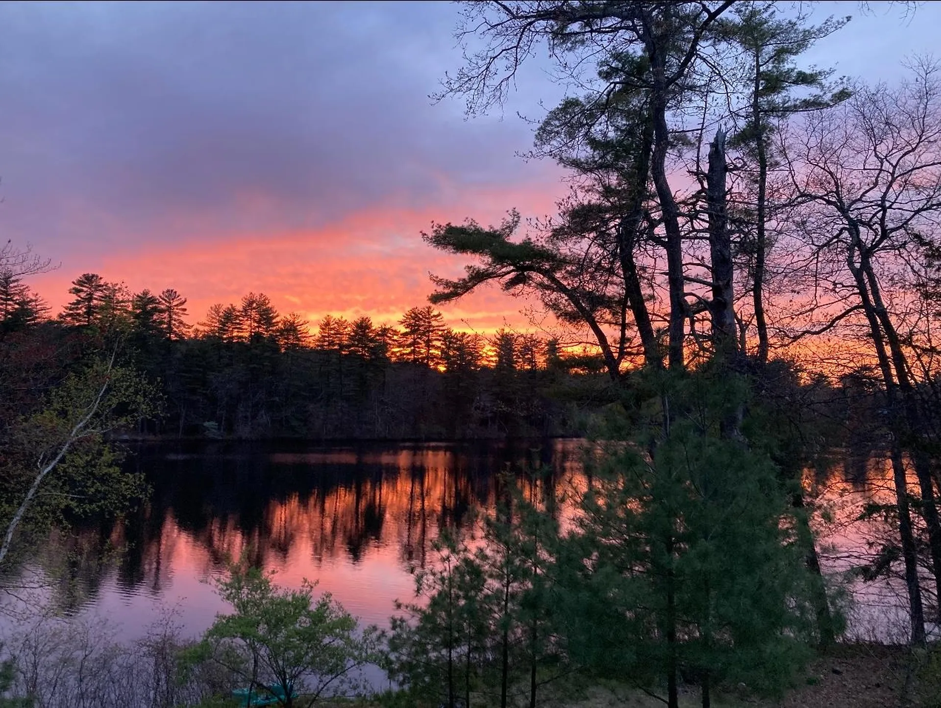 91 Sebbins Pond Drive Bedford NH 03110