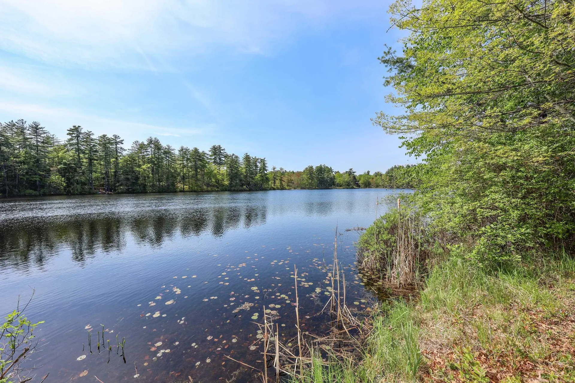 91 Sebbins Pond Drive Bedford NH 03110