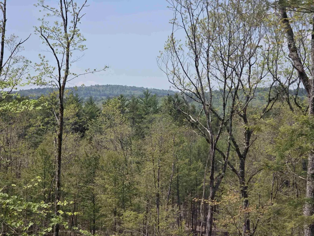 Map 417 Lot 51-1 Shannon Road Gilmanton NH 03237