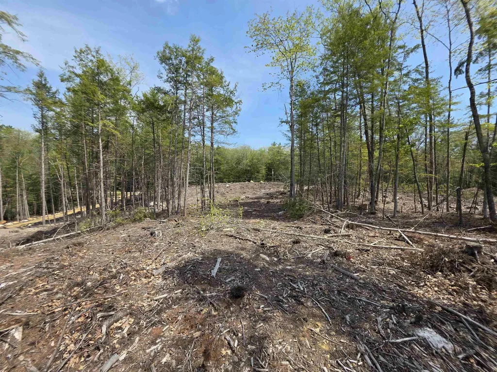 Map 417 Lot 51-1 Shannon Road Gilmanton NH 03237