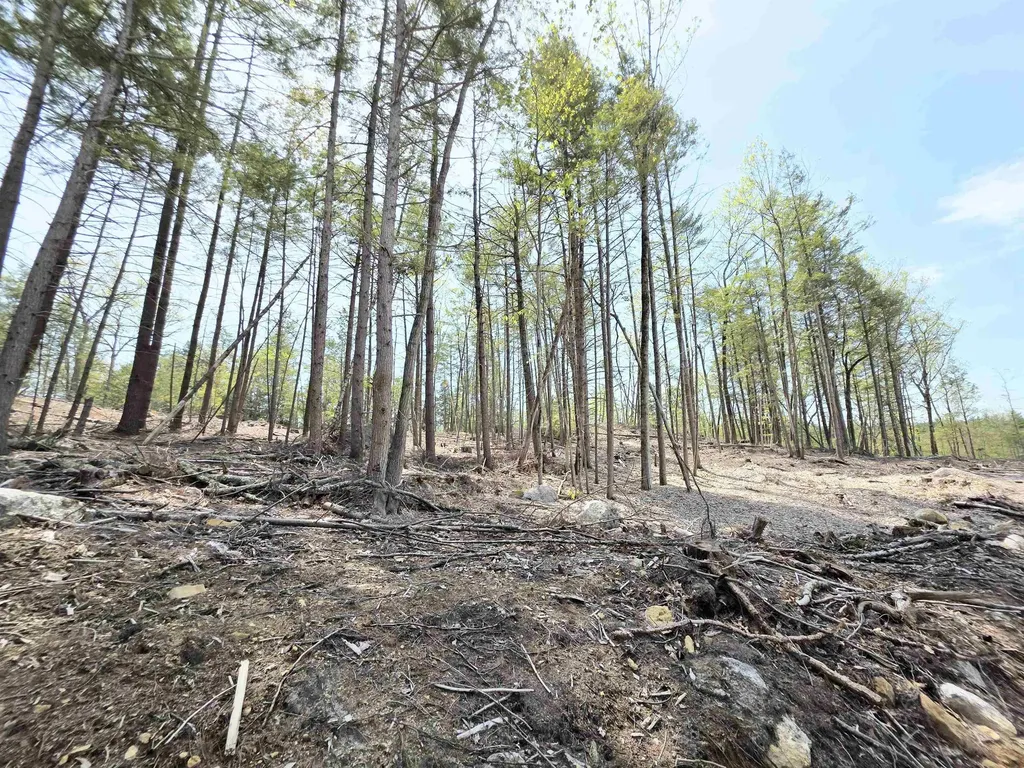 Map 417 Lot 51-1 Shannon Road Gilmanton NH 03237