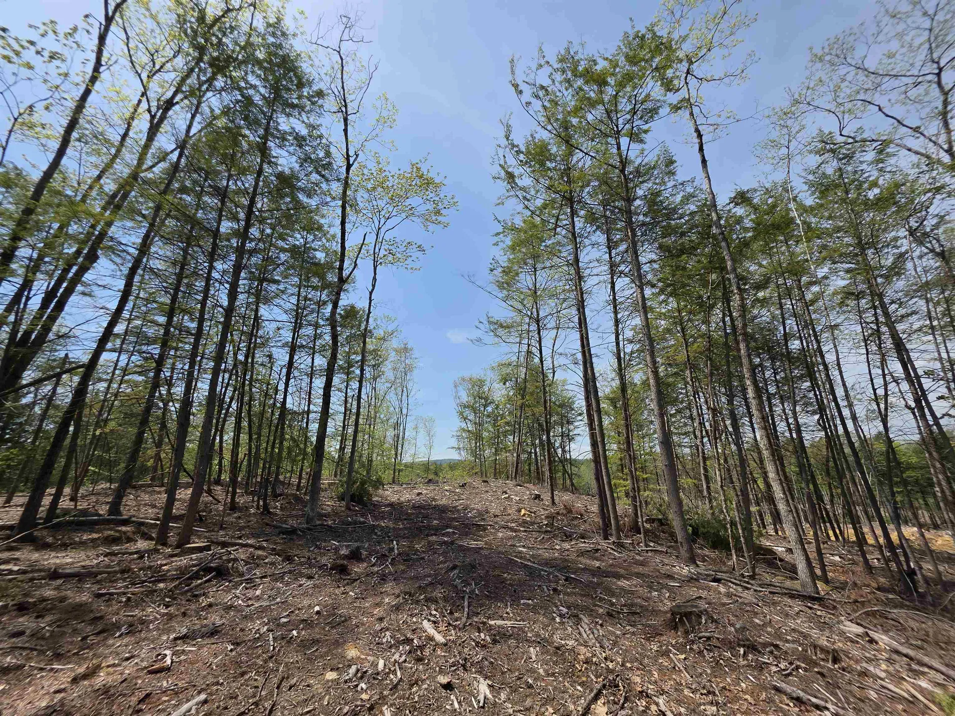 Map 417 Lot 51-1 Shannon Road Gilmanton NH 03237