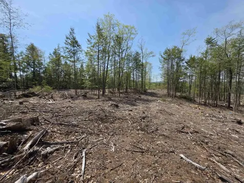 Map 417 Lot 51-1 Shannon Road Gilmanton NH 03237