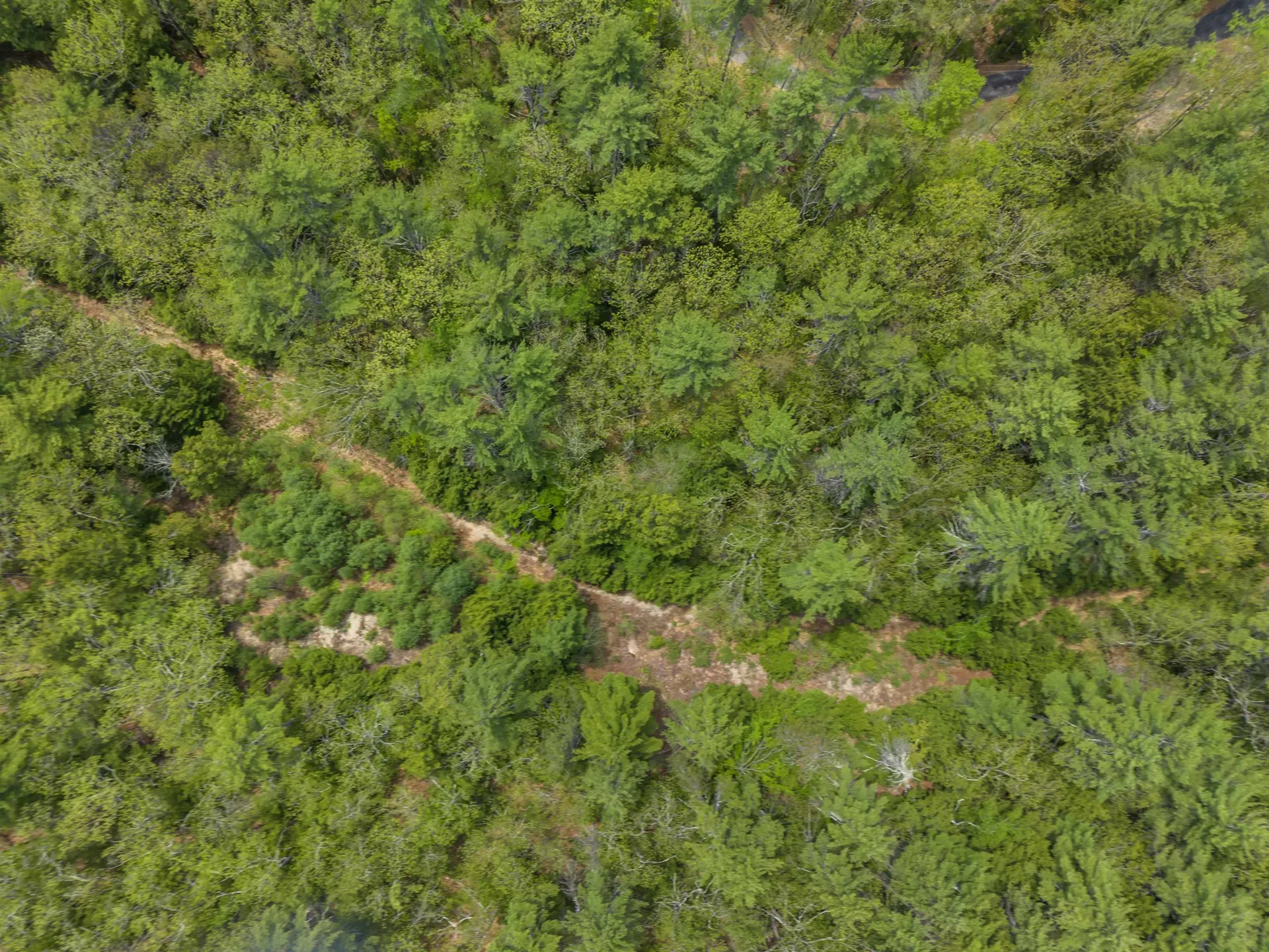 Lot 14 Pine Point Road New Durham NH 03855