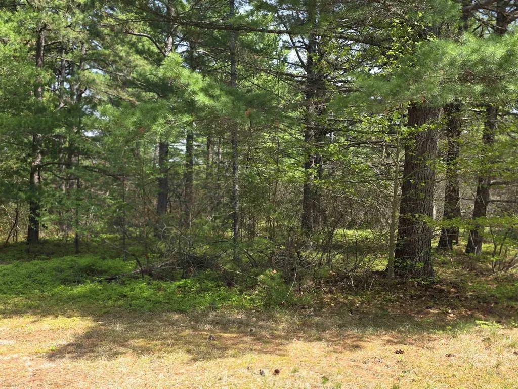 23 Logan Way Ossipee NH 03864