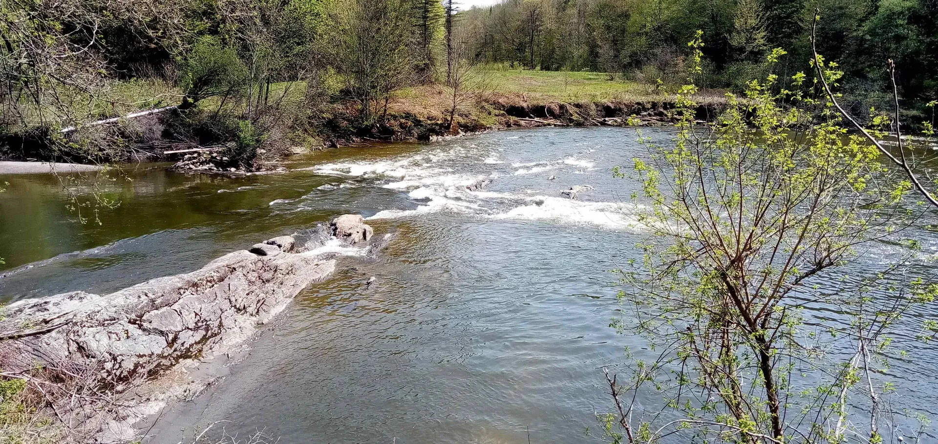 4186 Vt. Route 15 Wolcott VT 05680