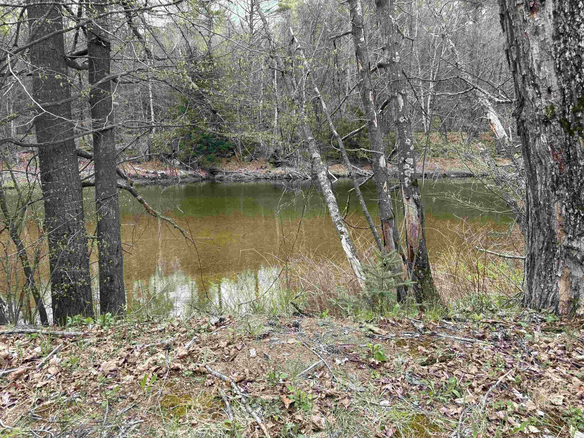 Buffalo Road Wentworth NH 03282