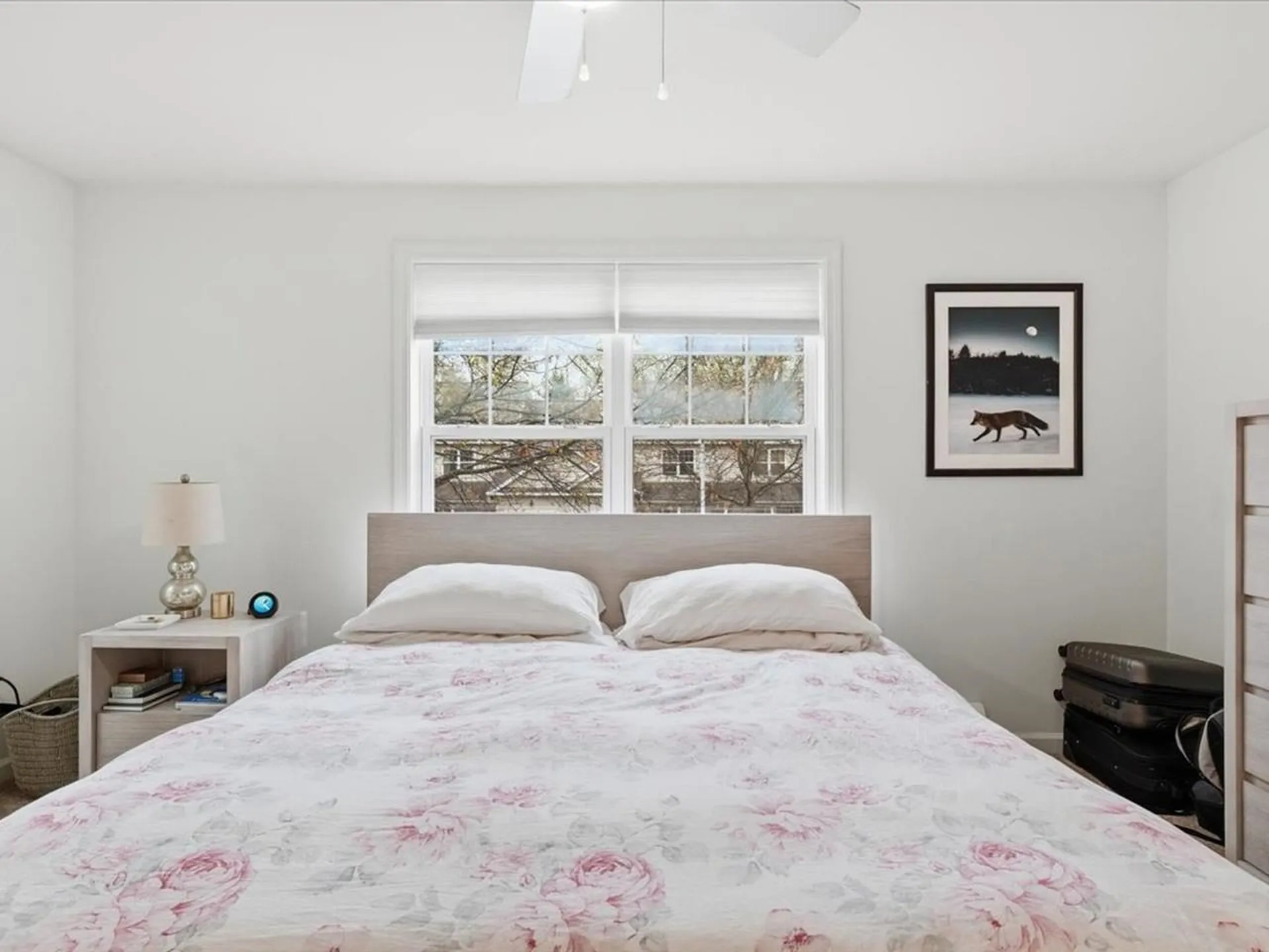4 Marion Avenue Essex VT 05452