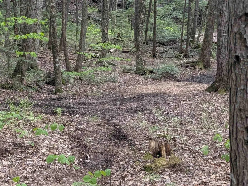 152 States Landing Road Moultonborough NH 03254