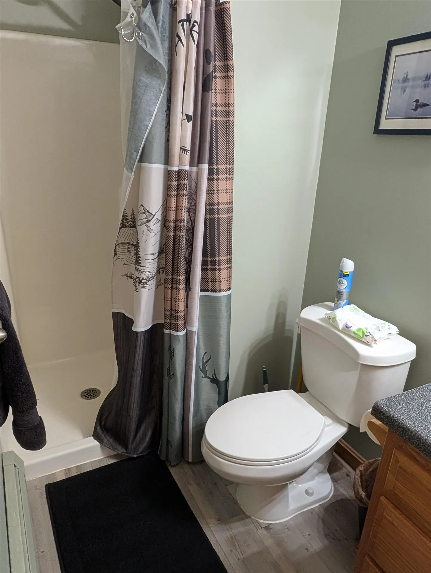 152 States Landing Road Moultonborough NH 03254