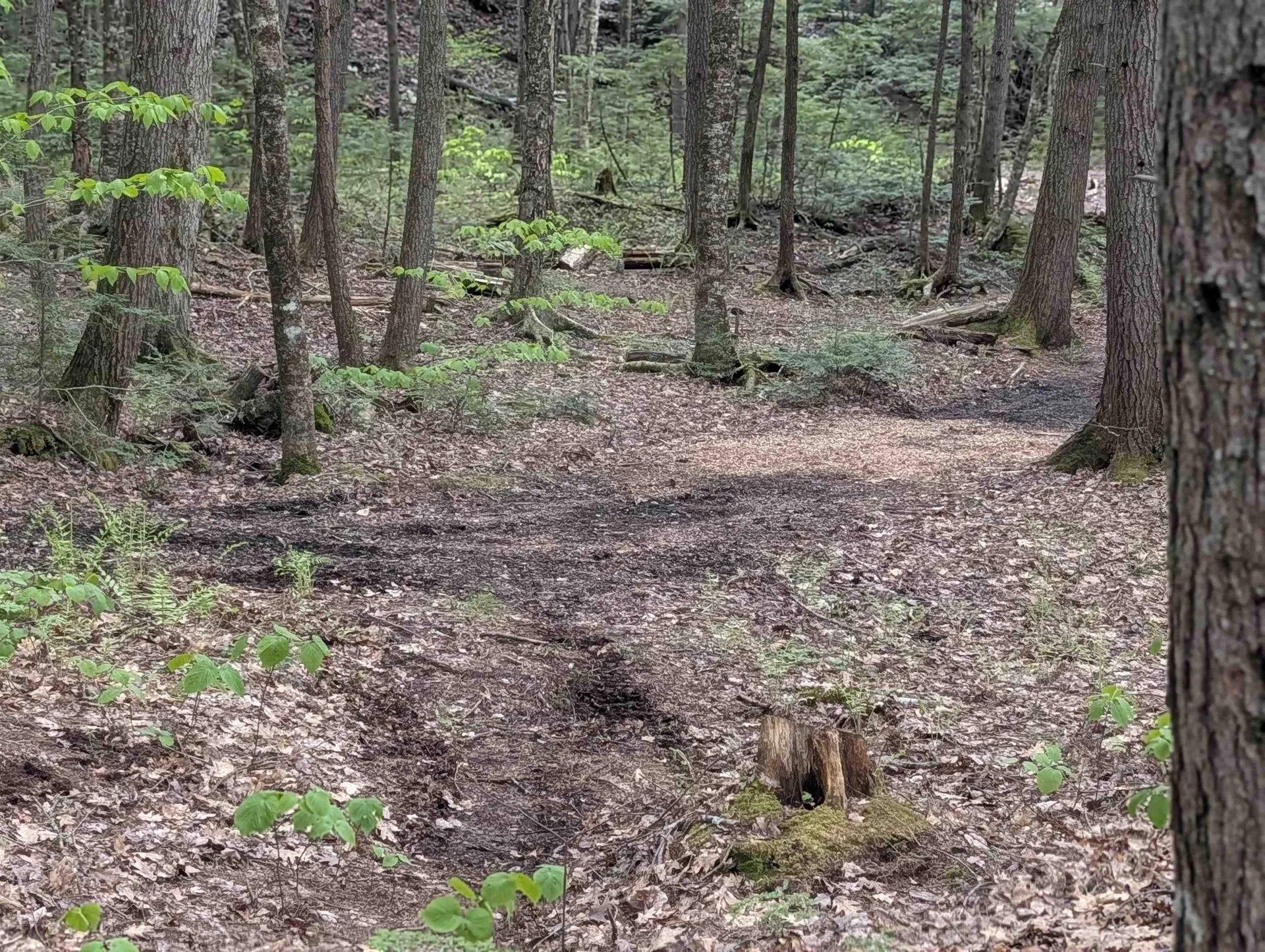 152 States Landing Road Moultonborough NH 03254