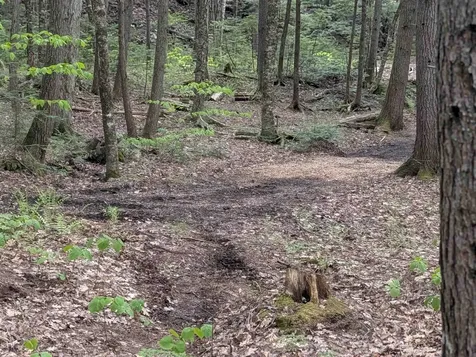 152 States Landing Road Moultonborough NH 03254