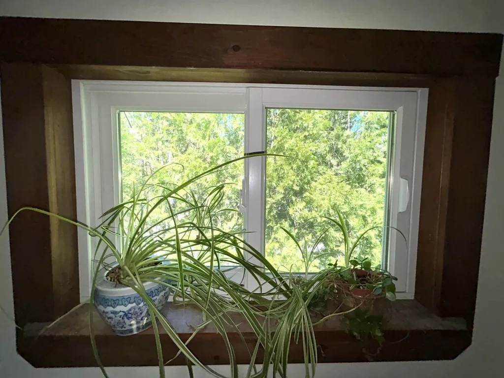 112 East Avenue Burlington VT 05401
