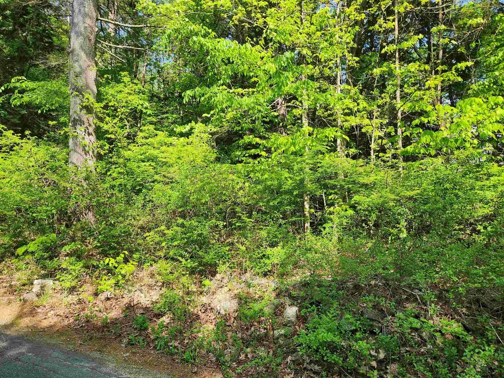 0 Cobble Hill Road Swanzey NH 03446
