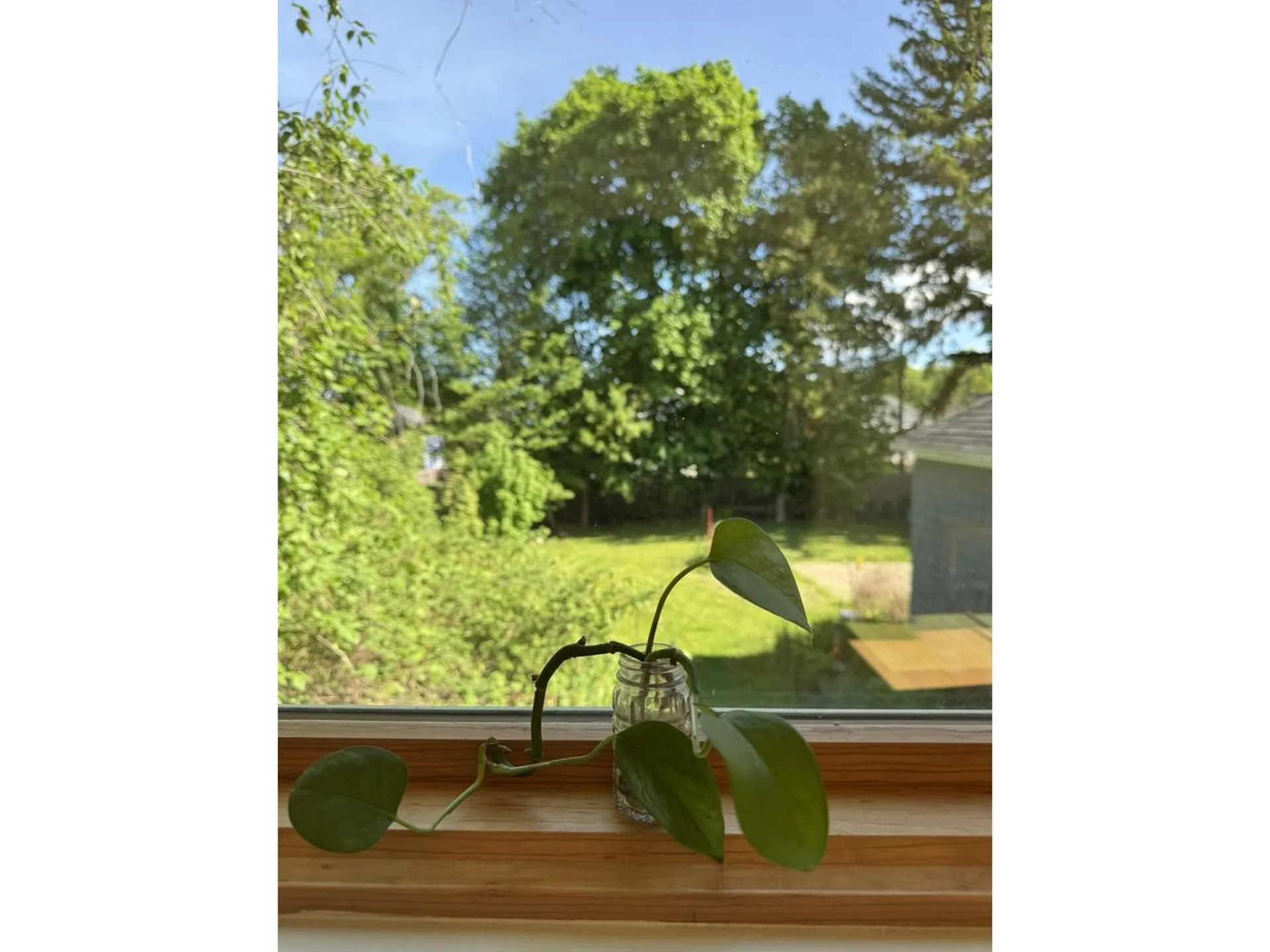 174 Lyman Avenue Burlington VT 05401