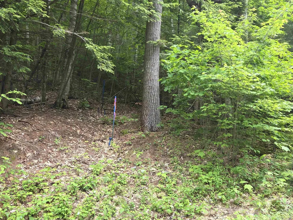 12-10 Boulder Drive Campton NH 03223