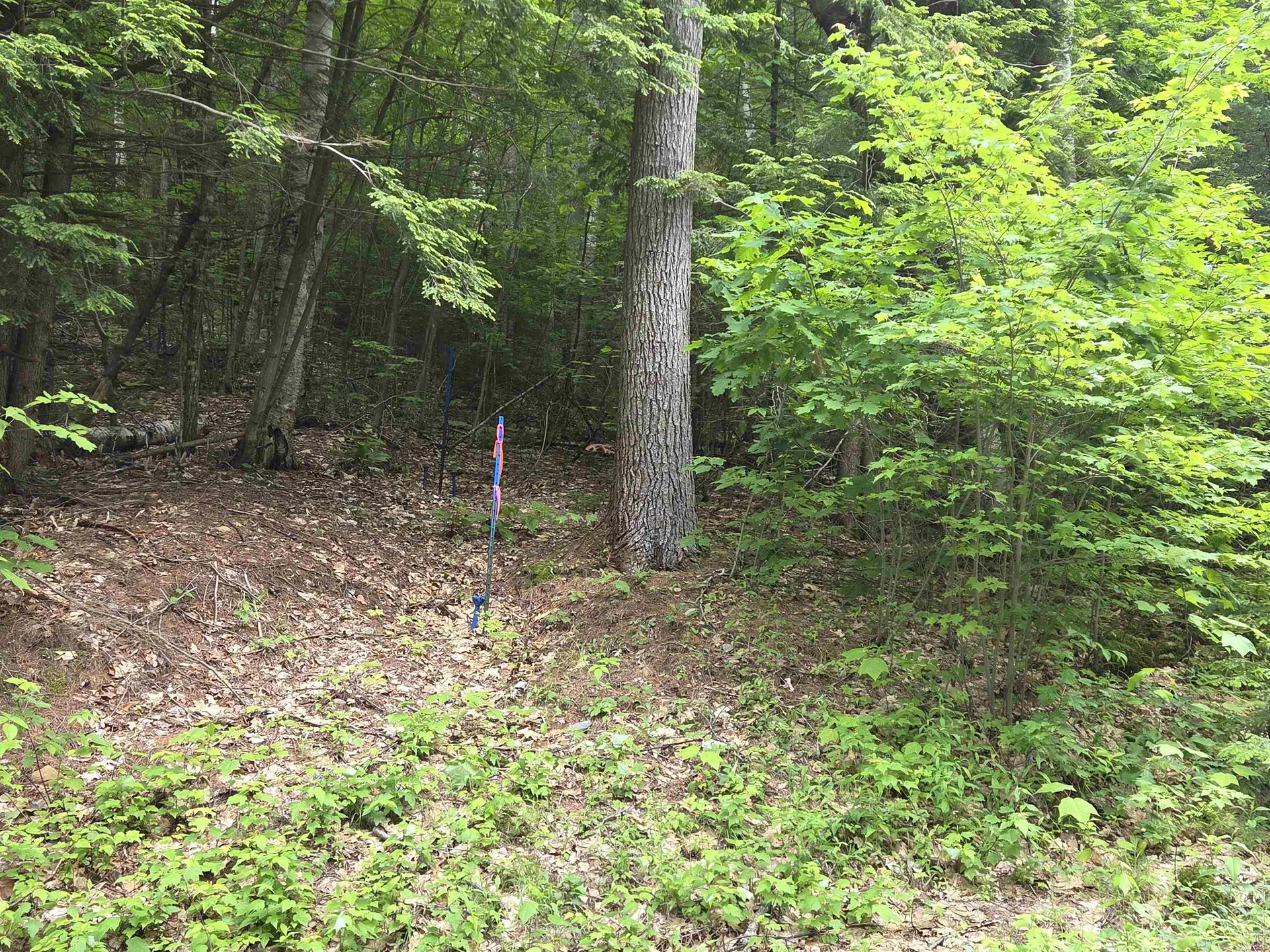 12-10 Boulder Drive Campton NH 03223