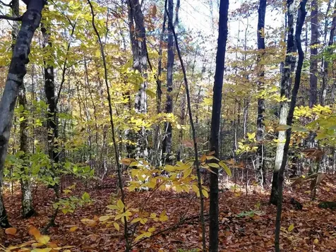 12-10 Boulder Drive Campton NH 03223