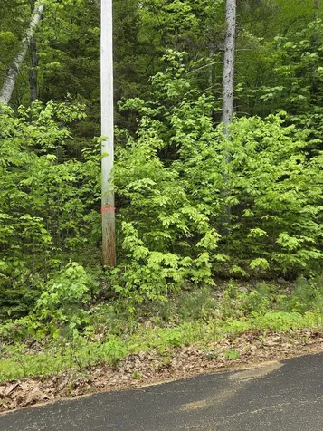 12-10 Boulder Drive Campton NH 03223