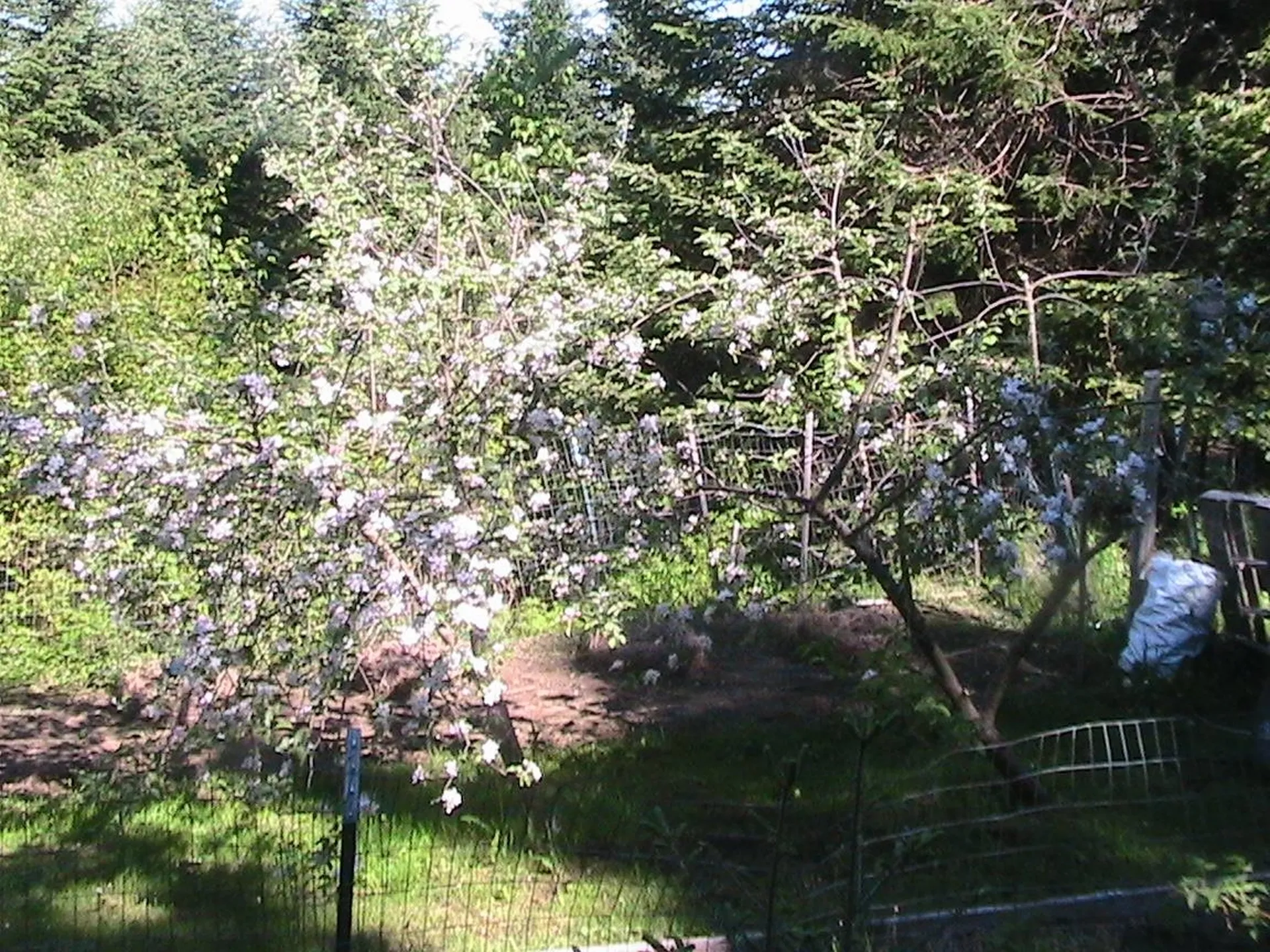 17 Plateau Road Stewartstown NH 03597