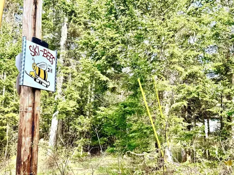 40 Griffin Road Stewartstown NH 03576