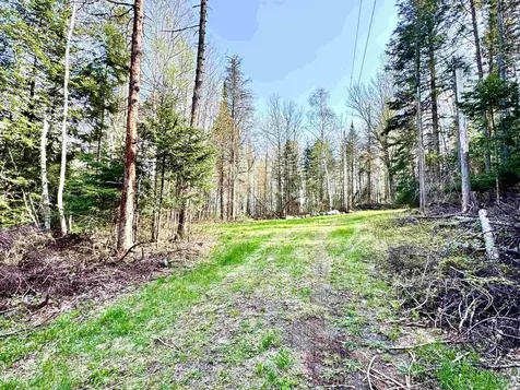 40 Griffin Road Stewartstown NH 03576