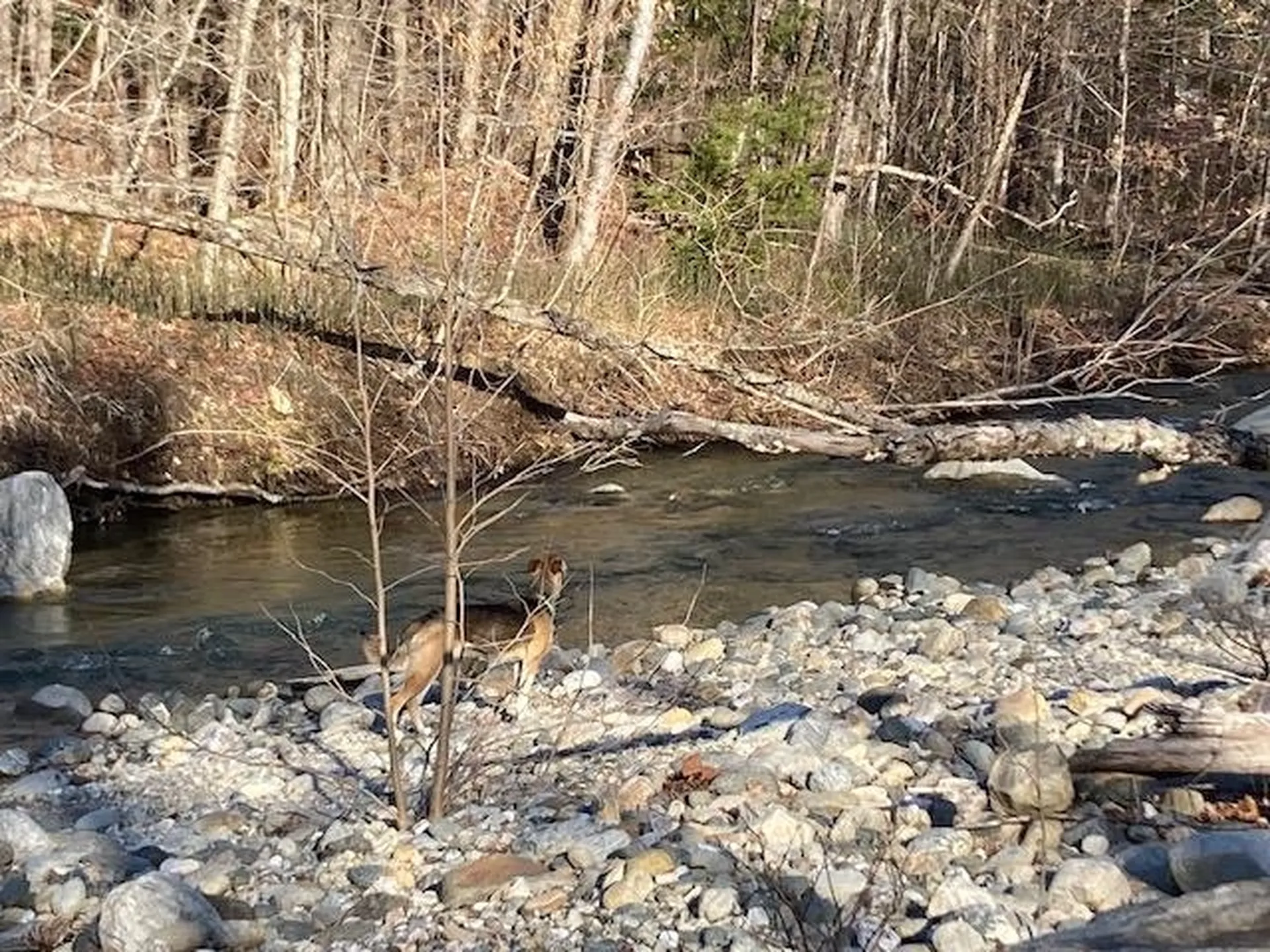 147 Gilbert Road Marlboro VT 05344
