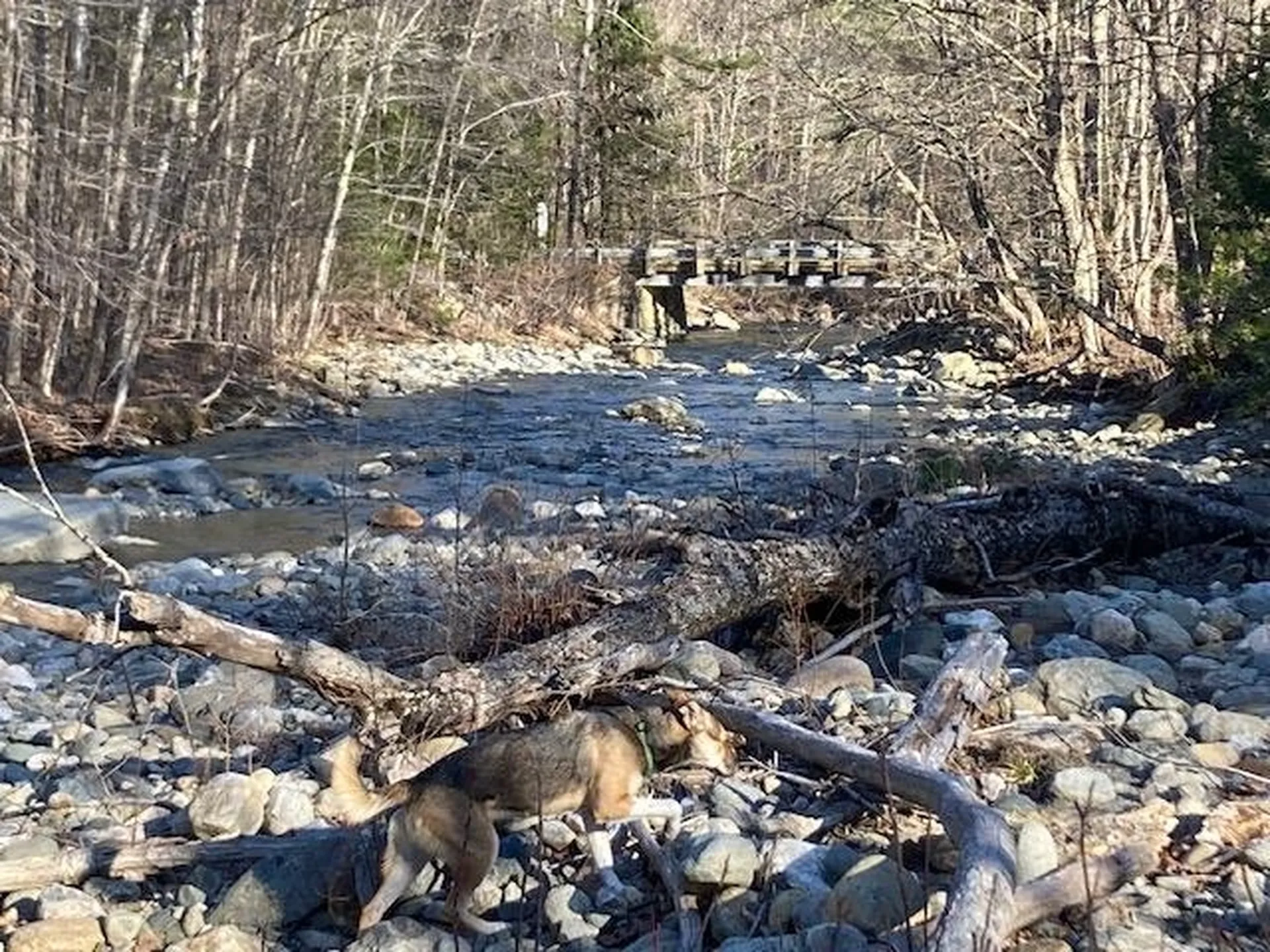 147 Gilbert Road Marlboro VT 05344