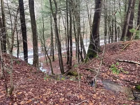 147 Gilbert Road Marlboro VT 05344