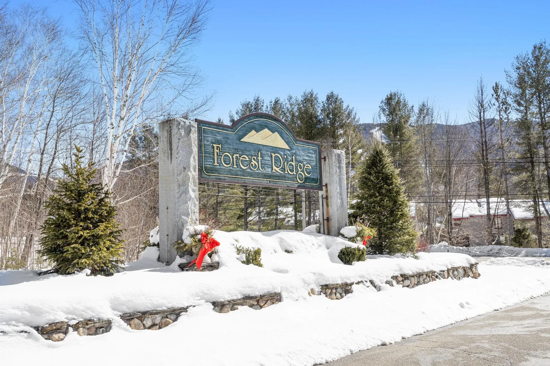 8 Twin Tip Terrace Lincoln NH 03251