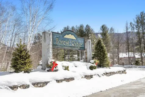 8 Twin Tip Terrace Lincoln NH 03251