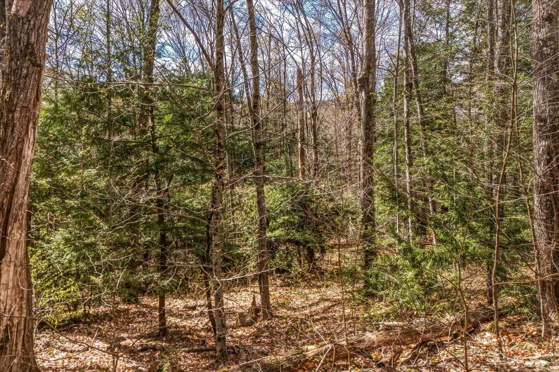 00 East Hill Road Wardsboro VT 05355