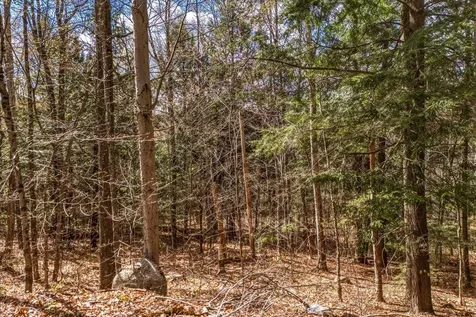 00 East Hill Road Wardsboro VT 05355