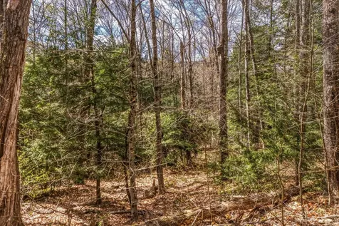 00 East Hill Road Wardsboro VT 05355