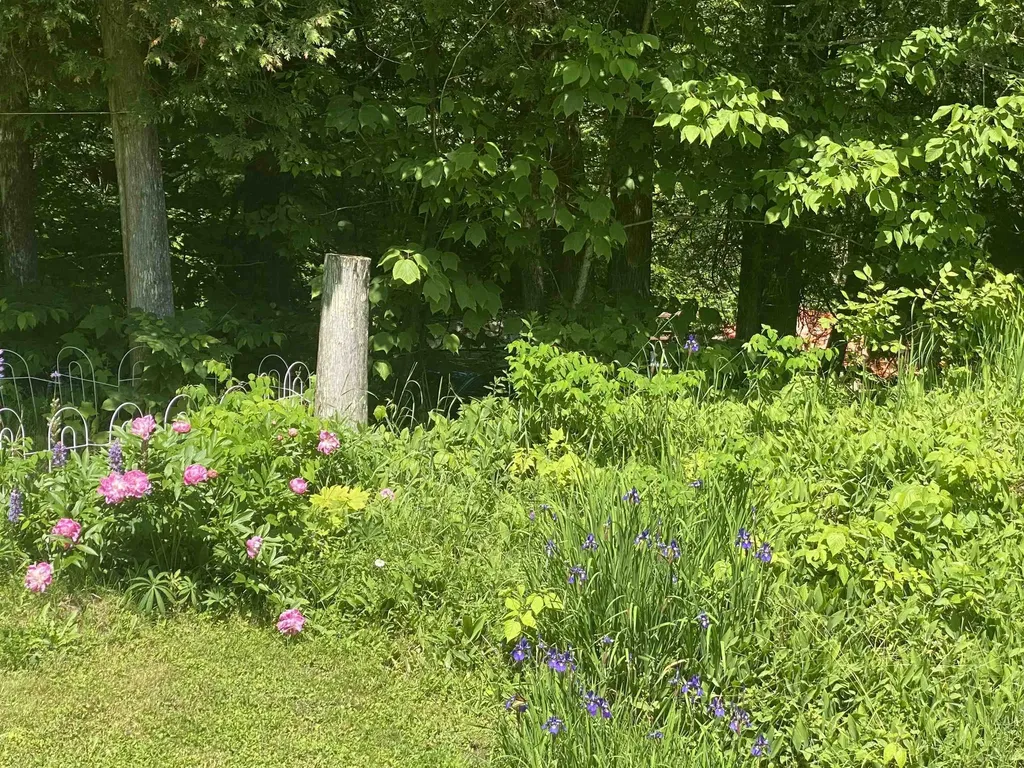 1313 Eligo Lake Road Craftsbury VT 05843