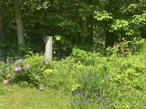 1313 Eligo Lake Road Craftsbury VT 05843