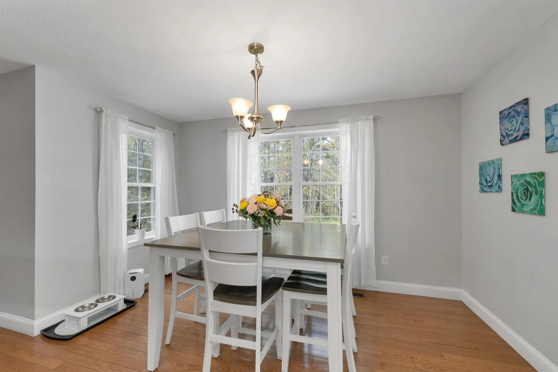 17 Blueberry Hill Road Raymond NH 03077