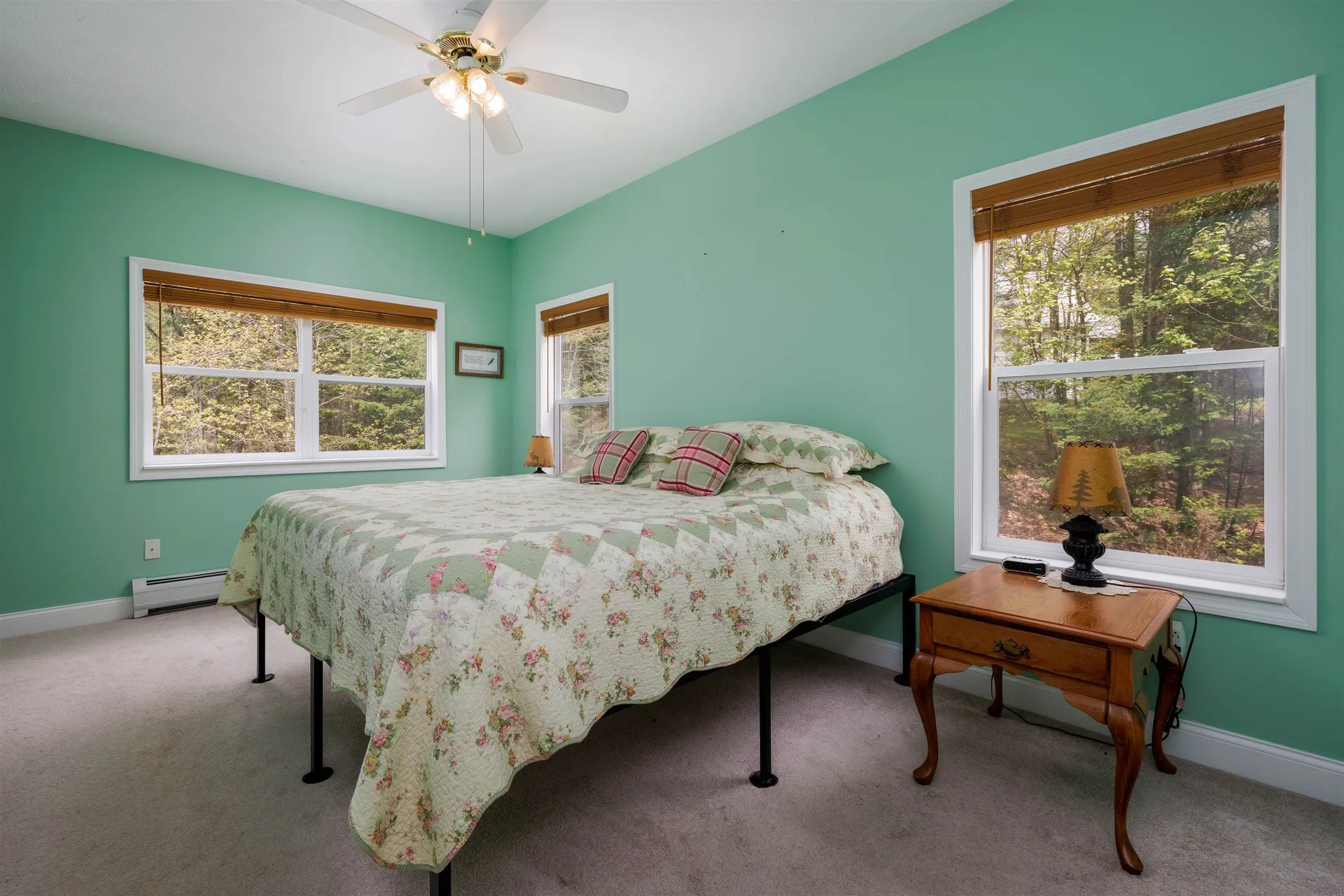 34 Shorewood Estates Road Unity NH 03773