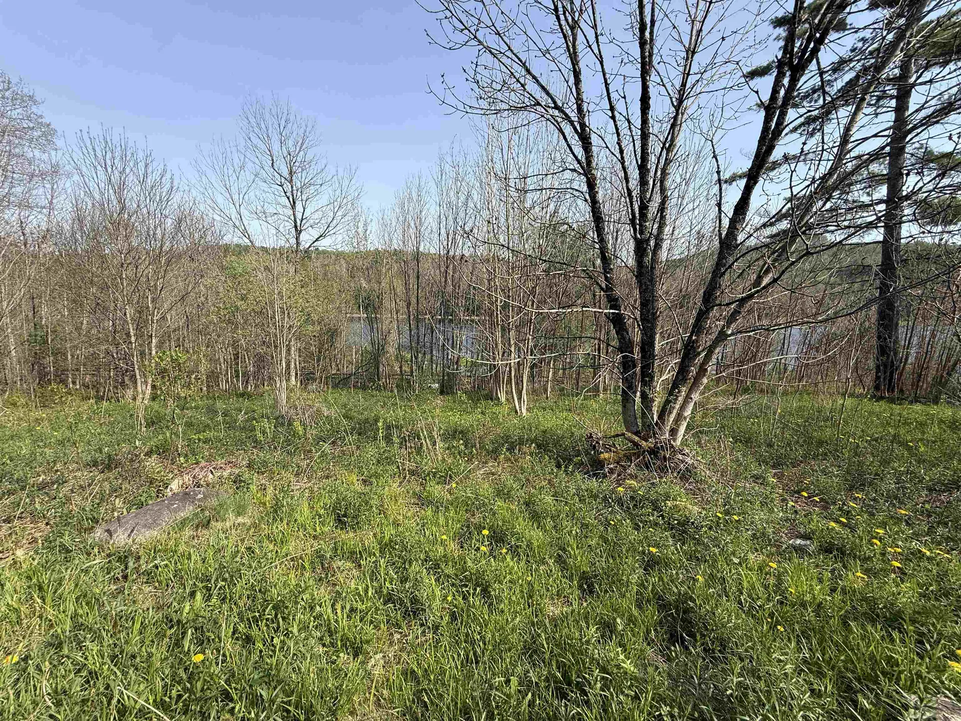 2153 River Road Lunenburg VT 05904