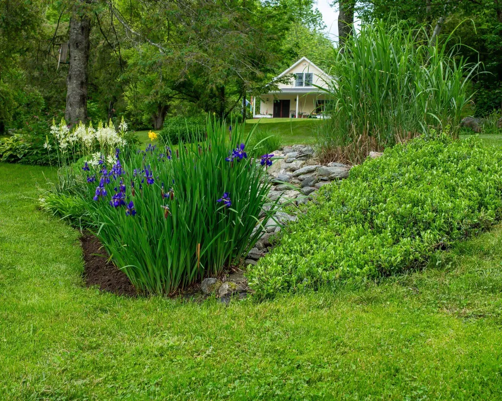1099 Lilliesvillle Brook Road Bethel VT 05032