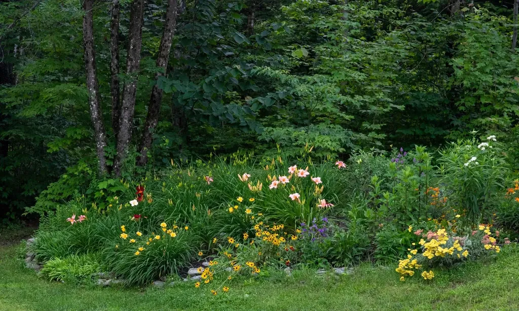 1099 Lilliesvillle Brook Road Bethel VT 05032