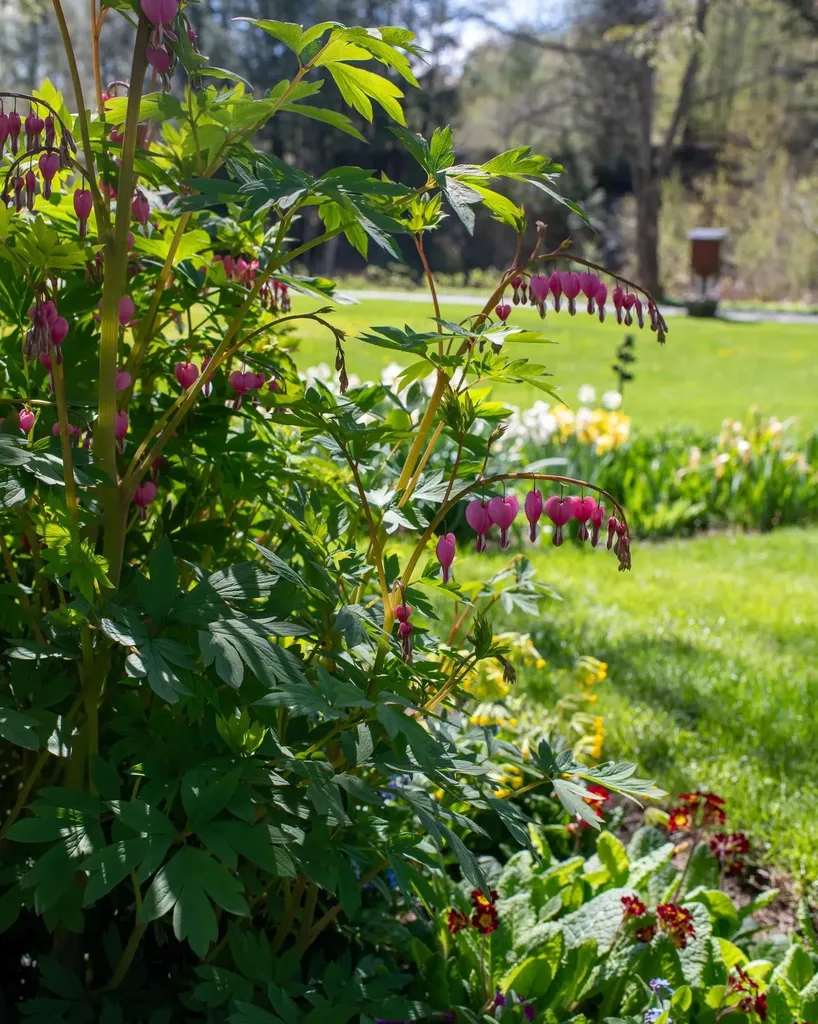1099 Lilliesvillle Brook Road Bethel VT 05032