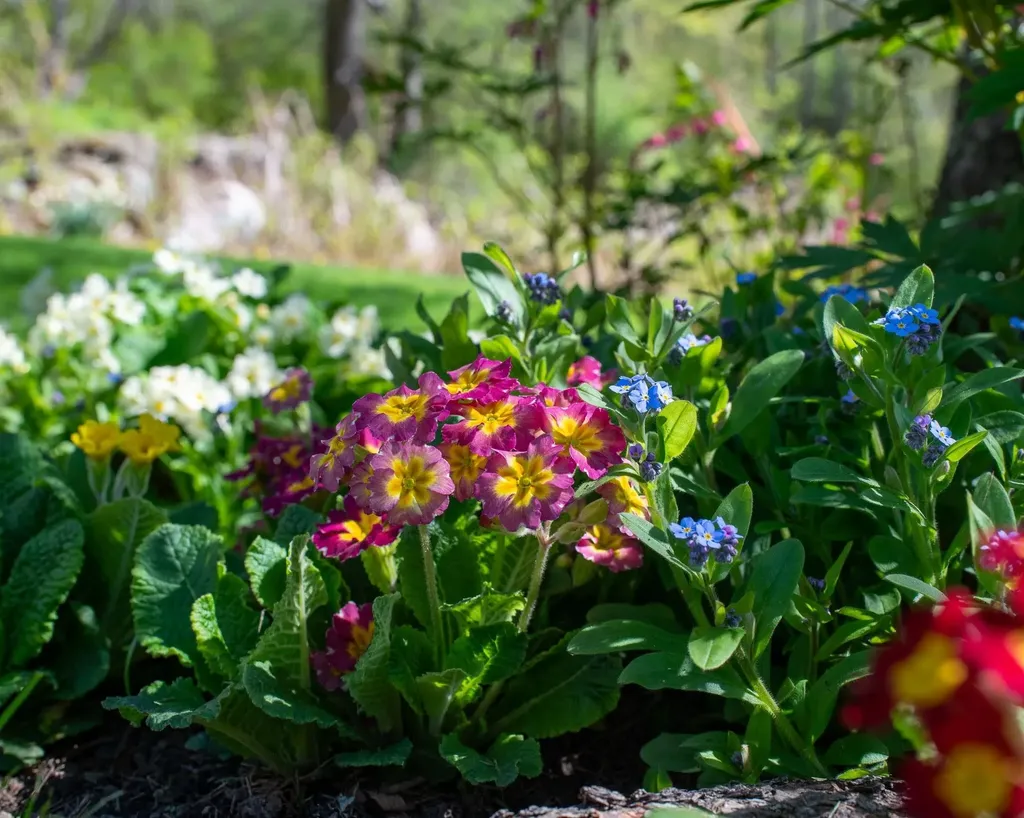 1099 Lilliesvillle Brook Road Bethel VT 05032
