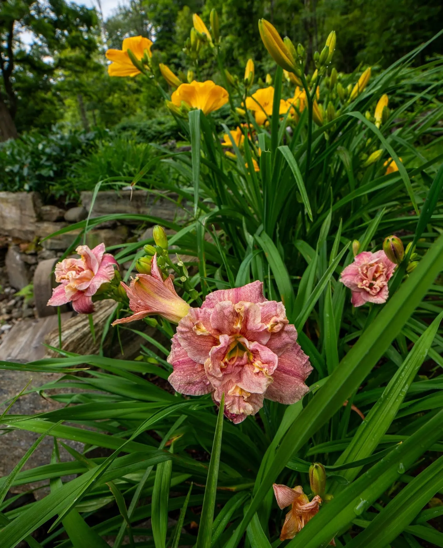 1099 Lilliesvillle Brook Road Bethel VT 05032