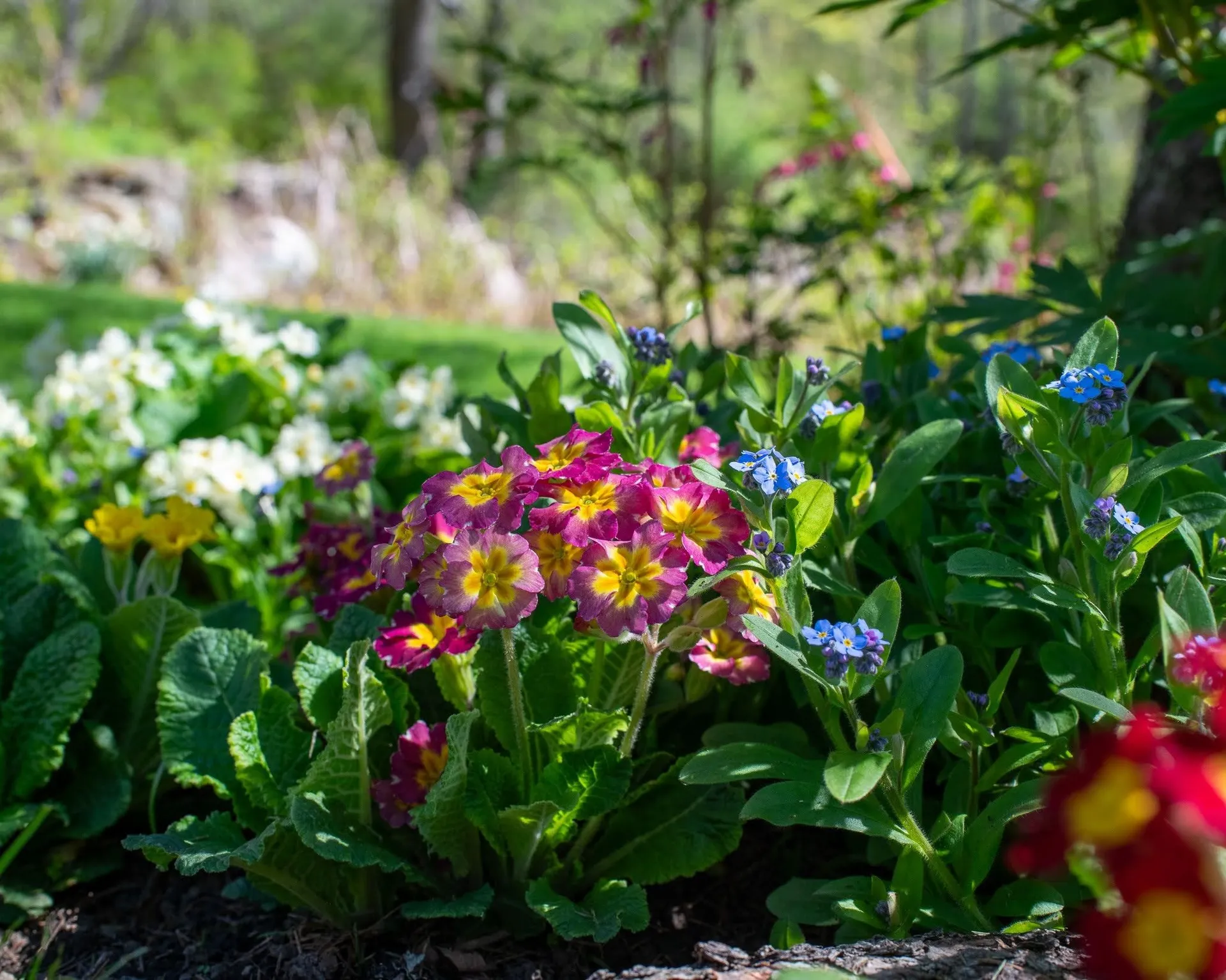 1099 Lilliesvillle Brook Road Bethel VT 05032